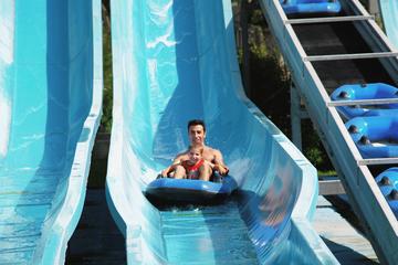 Zoomarine Admission Ticket with Lunch