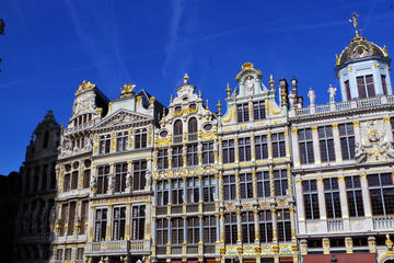 Private Tour: Brussels City Sightseeing Tour