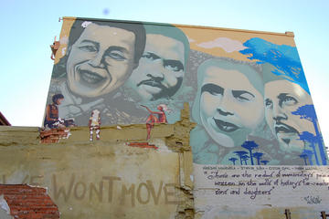 Revolution Route: Small Group Guided Tour in Cape Town