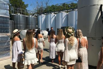 Tamborine Mountain Half-Day Private Wine Tour from Gold Coast