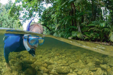 Mossman River Drift Snorkelling from Port Douglas or Mossman