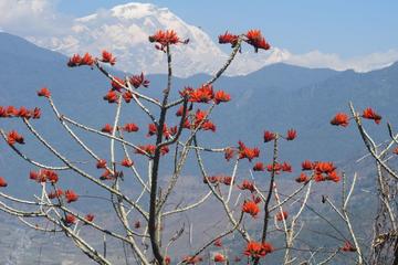 Pohkara Small Group Hiking Tour