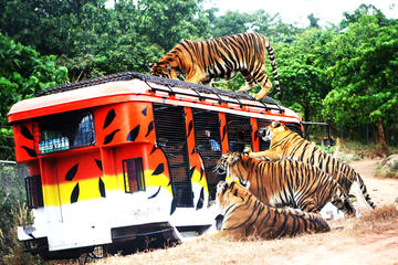 Zoobic Safari Entry with Lunch Option