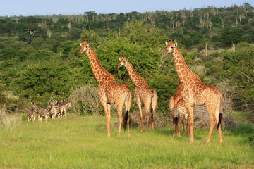 Angola Essential Odyssey: Luanda - Kissama Park  Kwanza River - Kalandula Falls