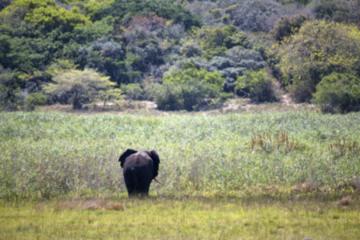 Coastal Tour - Anvil Bay - Machangulo Beach Lodge - 5 Days