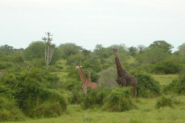 Day tour from Luanda to Kissama National Park