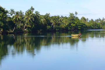 Day Tour - Madang City