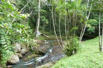 Day Tour - Varirata National Park