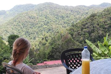 Madagascar's National Route 7 Great Rainforest Road Express to Ramanofana Park and Anja Reserve