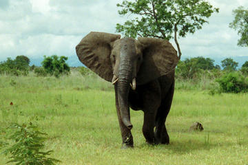 Maputo Bay - Special Reserve - Machangulo - 5 Days