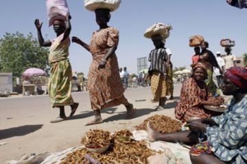 N'Djamena Full-Day Sightseeing Tour with BBQ Dinner