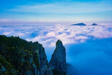 Reunion Island - Petite Ile - 7 Days