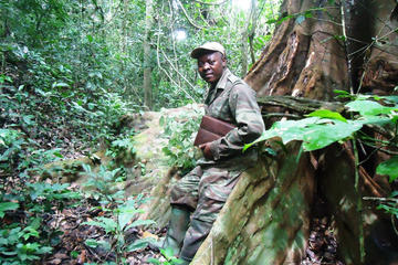 Walking and Trekking Trip on Mount Mbaminkon