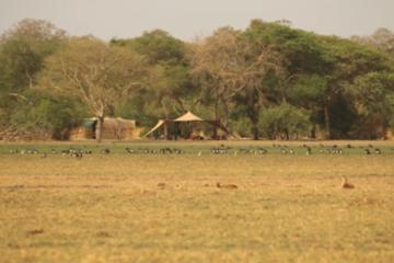 Zakouma Park Budget (Accom Booking Only With Game Drives and Meals) - 8 Days