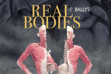 Real Bodies at Bally's Hotel and Casino
