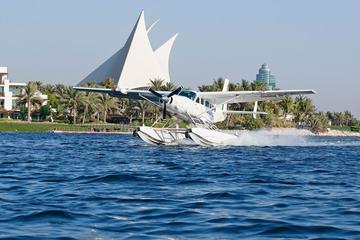 Seaplane Tour and Al Maha Wildlife Drive from Dubai