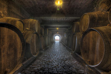 Tenerife Bodegas Monje Winery Tour with Wine and Cheese Tastings