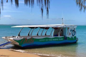 Great Sandy Marine Park Discovery Cruise from Hervey Bay