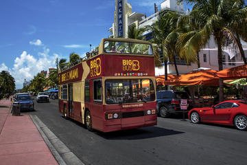 Big Bus Miami Hop-On Hop-Off Tour