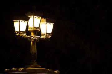 The Bright Lights of Budapest