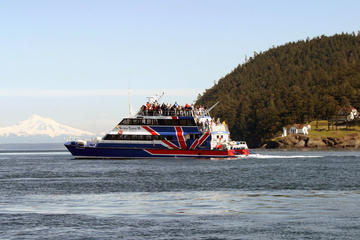 Friday Harbor Day Trip & Whale Watching from Seattle