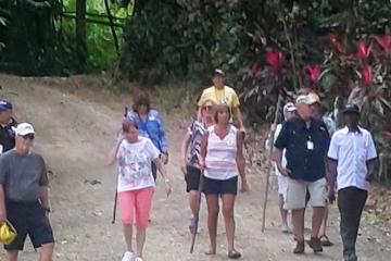 Combo Tour from Puerto Limon