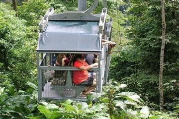 Veragua Rainforest
