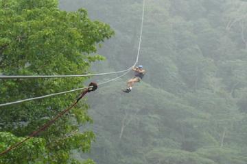 Zipline and Canal Tour