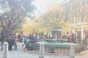 Private Chicago Walking Tour: Historic Landmarks In Germantown