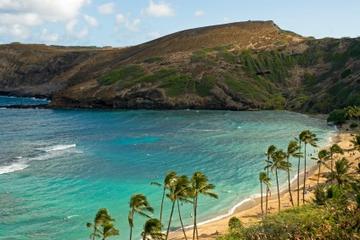 Oahu Grand Circle Island Tour with Japanese-Speaking Guide
