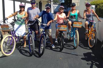 Day Trip Small-Group Carlsbad E-Bike Tour Including Meditation Gardens near Carlsbad, California 
