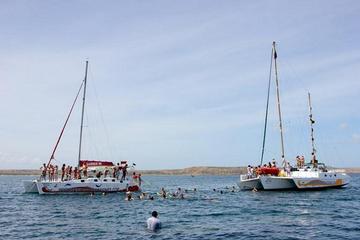 Day Trip to Cubagua Island from Margarita Island