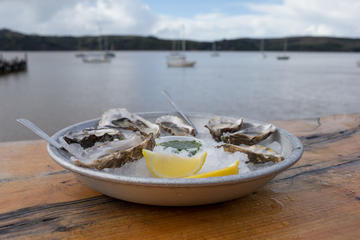 Private Napa Sonoma Gourmet Food and Wine Tour
