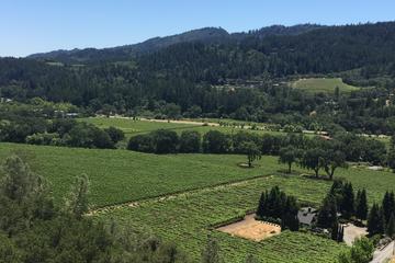 Private Wine Tour of Napa and Sonoma