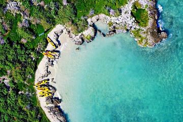 2-Hour Guided Kayaking Excursion