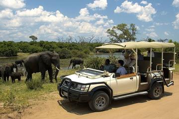 Safari Pass Zimbabwe