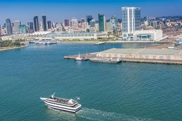 Day Trip San Diego Harbor Cruise near San Diego, California 