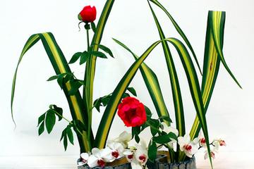 Ikebana and Flower Arranging in Osaka