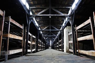 Auschwitz-Birkenau and Wieliczka Salt Mine Day Tour from Krakow