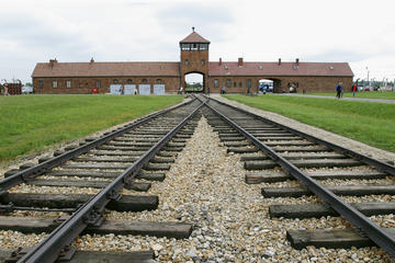 Auschwitz-Birkenau and Wieliczka Salt Mine Day Tour from Krakow with private car