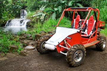Off-Road Tour of Kauai Waterfalls
