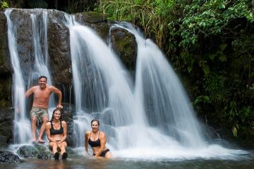 Top Waterfalls In Kauai Recommendations For Tours Trips Tickets Off Road Tour Of Kauai Waterfalls