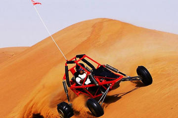 Dunne buggy self thrifing experience