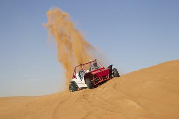 Dunne buggy self thrifing experience with BBQ dinner