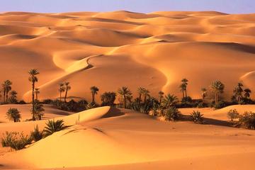 Full day Liwa Desert Safari with over night