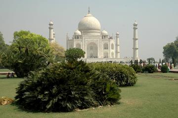 Taj Mahal in Winters