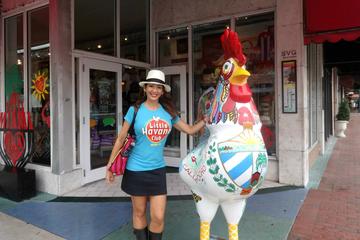 Little Havana Cultural Walking and Food Tour