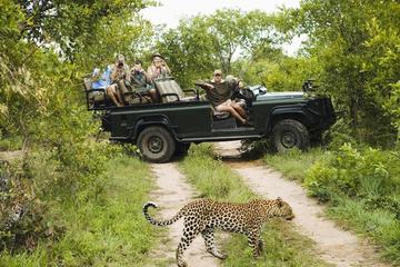 Safari at Wasgamuwa National Park