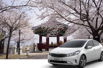Discovering Korea - 10-day Self-Guided Tour