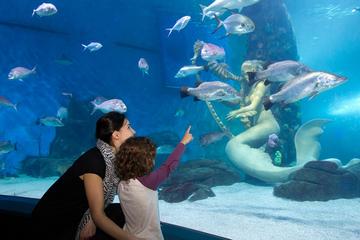 Skip the Line: SEA LIFE Melbourne Aquarium Admission Ticket